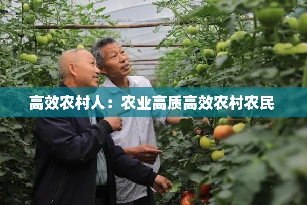 高效农村人：农业高质高效农村农民 