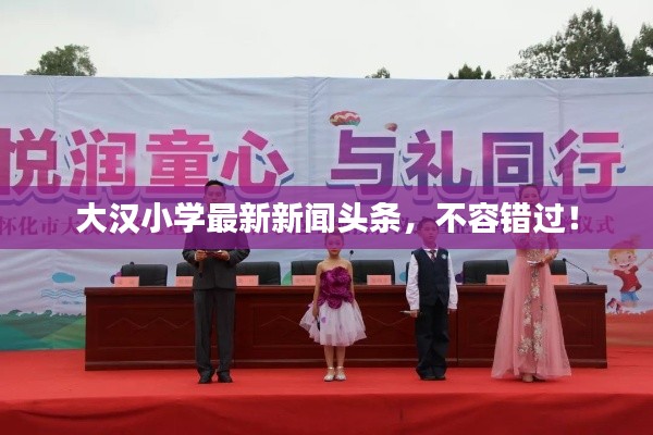 大汉小学最新新闻头条,不容错过!