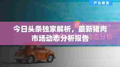 今日头条独家解析，最新猪肉市场动态分析报告