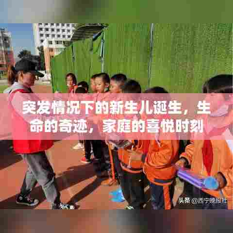 突发情况下的新生儿诞生，生命的奇迹，家庭的喜悦时刻