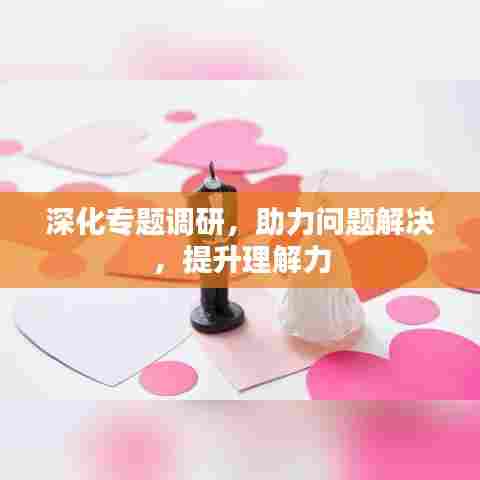 深化专题调研,助力问题解决,提升理解力