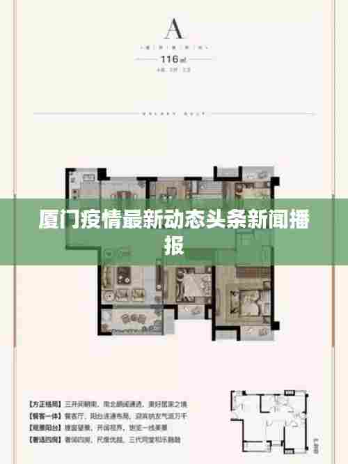 厦门疫情最新动态头条新闻播报