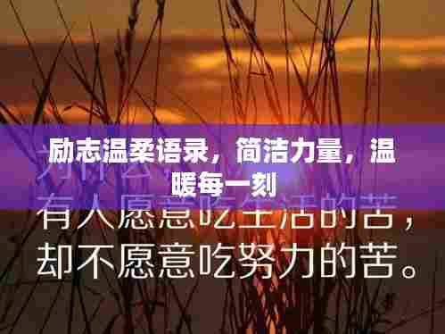 半新不旧 第7页