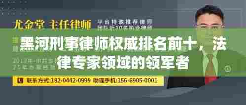 黑河刑事律师权威排名前十,法律专家领域的领军者