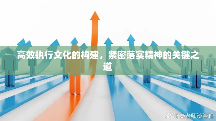 高效执行文化的构建，紧密落实精神的关键之道