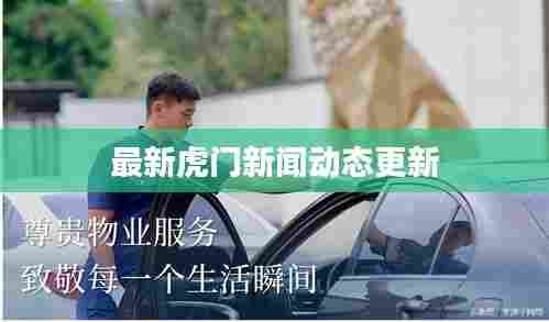 最新虎门新闻动态更新