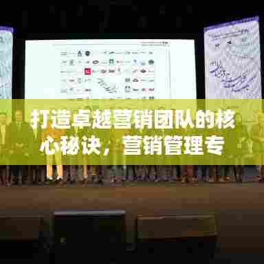 打造卓越营销团队的核心秘诀，营销管理专题培训全解析