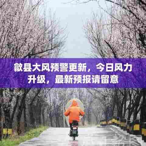歙县大风预警更新，今日风力升级，最新预报请留意