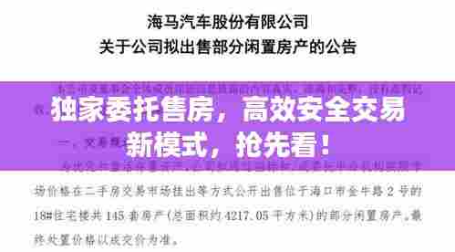 独家委托售房,高效安全交易新模式,抢先看!