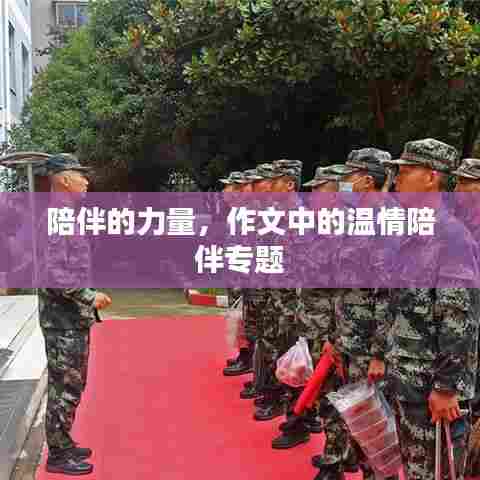陪伴的力量，作文中的温情陪伴专题