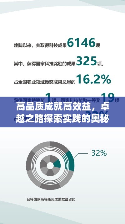高品质成就高效益,卓越之路探索实践的奥秘