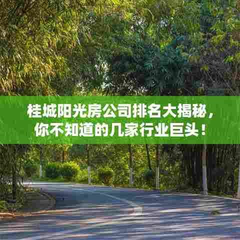 桂城阳光房公司排名大揭秘，你不知道的几家行业巨头！