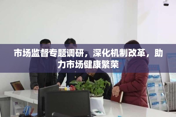 市场监督专题调研，深化机制改革，助力市场健康繁荣