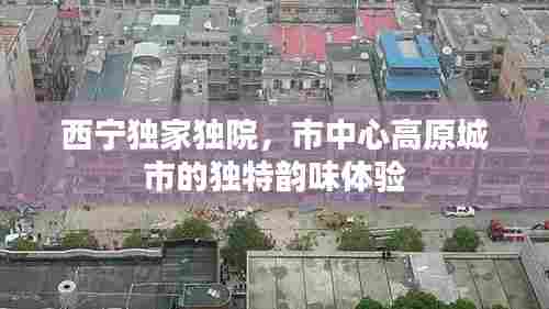 西宁独家独院，市中心高原城市的独特韵味体验