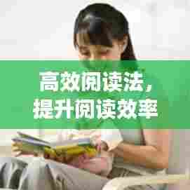 高效阅读法，提升阅读效率与深度理解力秘籍！