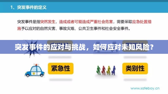 突发事件的应对与挑战，如何应对未知风险？