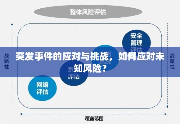 突发事件的应对与挑战,如何应对未知风险?