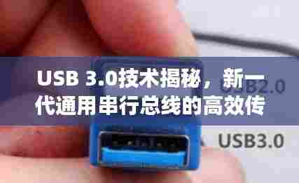 屦贱踊贵 第7页