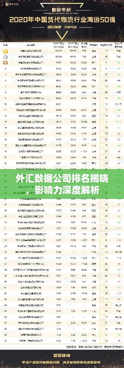 外汇数据公司排名揭晓，影响力深度解析