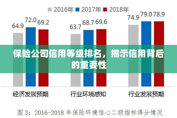 保险公司信用等级排名，揭示信用背后的重要性