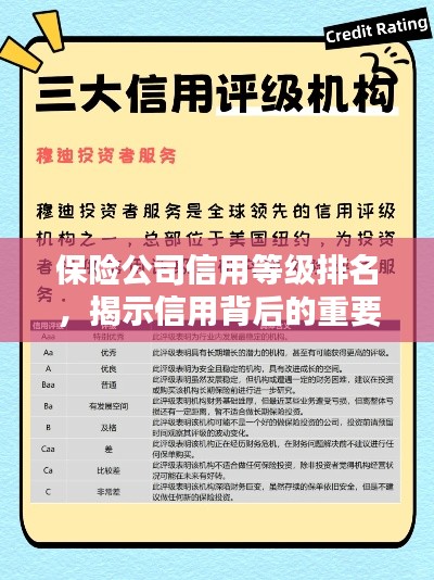 保险公司信用等级排名,揭示信用背后的重要性