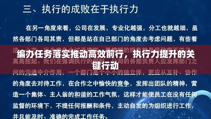 编办任务落实推动高效前行，执行力提升的关键行动