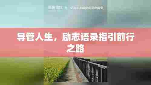 导管人生，励志语录指引前行之路