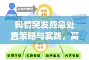 舆情突发应急处置策略与实践，高效应对危机，守护网络生态安全