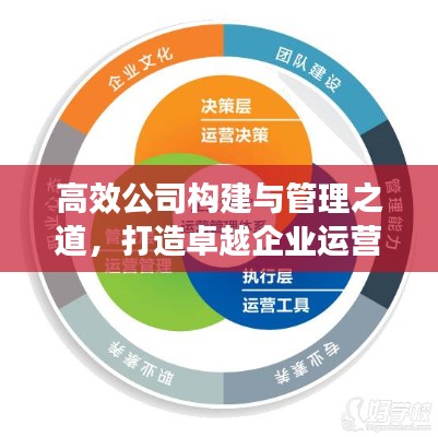 高效公司构建与管理之道,打造卓越企业运营体系