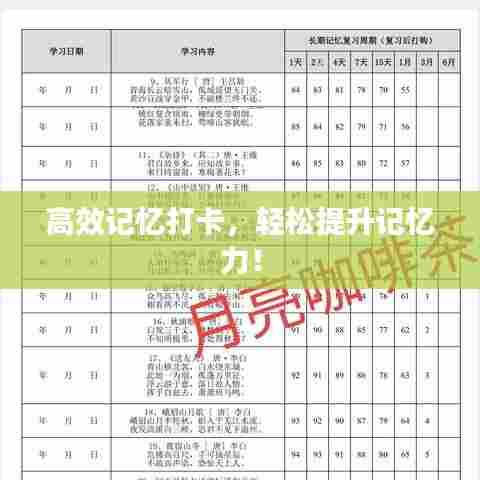 高效记忆打卡,轻松提升记忆力!