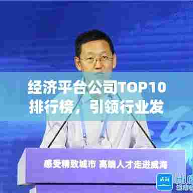 经济平台公司TOP10排行榜,引领行业发展,谁占据了行业制高点?