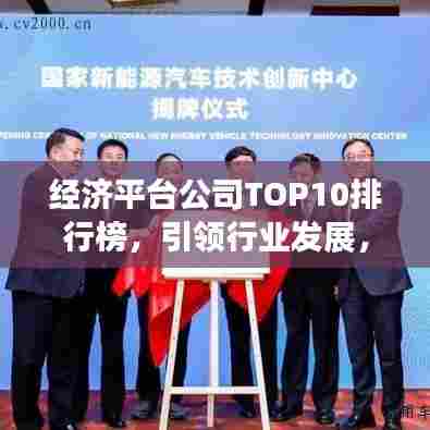 经济平台公司TOP10排行榜,引领行业发展,谁占据了行业制高点?