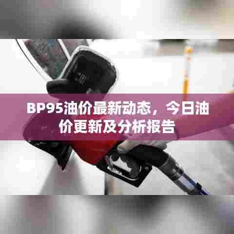 BP95油价最新动态,今日油价更新及分析报告