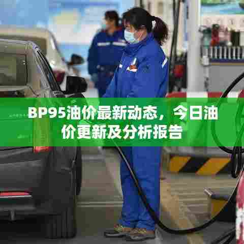 BP95油价最新动态,今日油价更新及分析报告