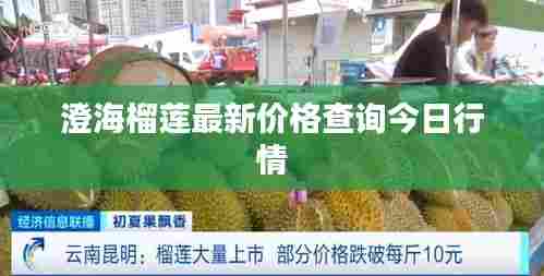 澄海榴莲最新价格查询今日行情