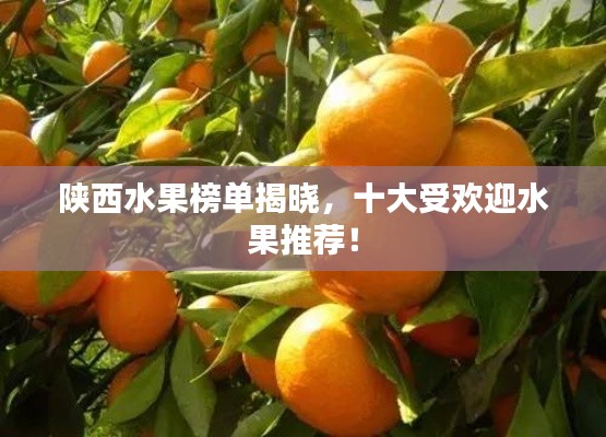 陕西水果榜单揭晓,十大受欢迎水果推荐!