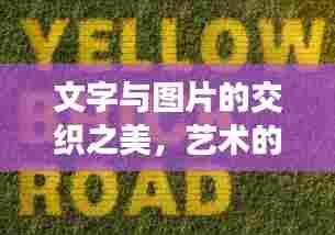 文字与图片的交织之美，艺术的无尽缠绕