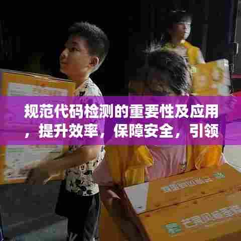 规范代码检测的重要性及应用,提升效率,保障安全,引领数字化转型时代