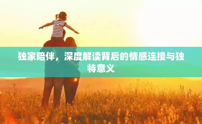 独家陪伴，深度解读背后的情感连接与独特意义