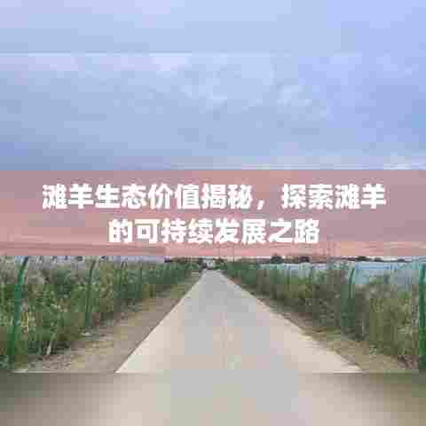 滩羊生态价值揭秘，探索滩羊的可持续发展之路