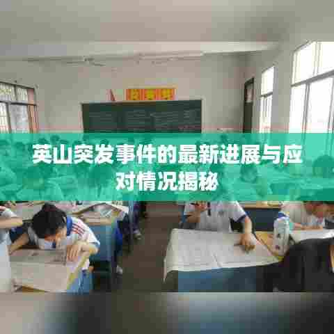 英山突发事件的最新进展与应对情况揭秘