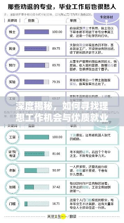 深度揭秘，如何寻找理想工作机会与优质就业环境？