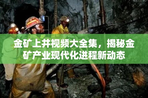 金矿上井视频大全集,揭秘金矿产业现代化进程新动态