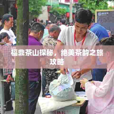 福鼎茶山探秘，绝美茶韵之旅攻略
