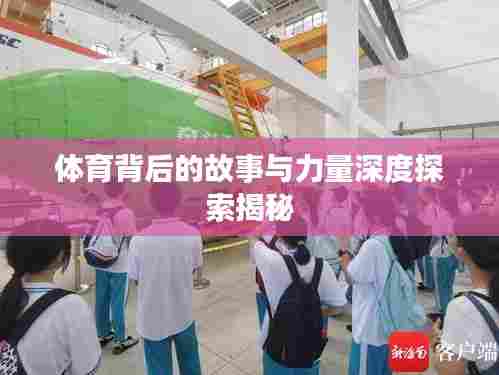 体育背后的故事与力量深度探索揭秘