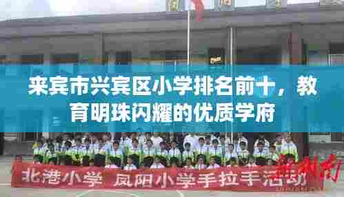 来宾市兴宾区小学排名前十,教育明珠闪耀的优质学府