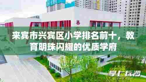 来宾市兴宾区小学排名前十,教育明珠闪耀的优质学府