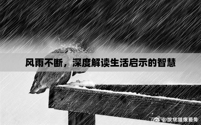 风雨不断,深度解读生活启示的智慧