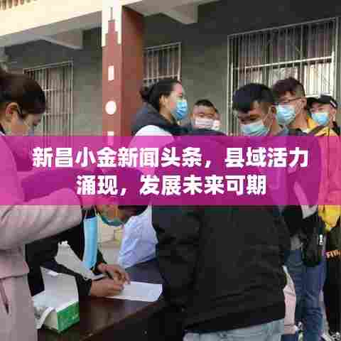 新昌小金新闻头条,县域活力涌现,发展未来可期