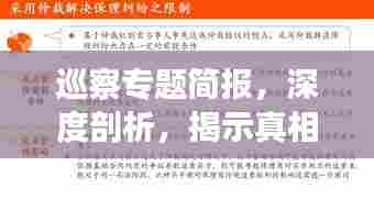 巡察专题简报，深度剖析，揭示真相